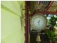 Rosedale QLD 4674