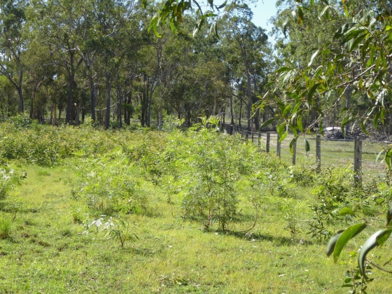 252 Matchbox Road, Deepwater QLD 4674