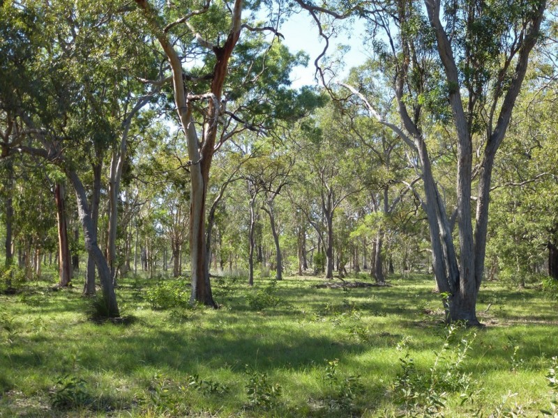 252 Matchbox Road, Deepwater QLD 4674