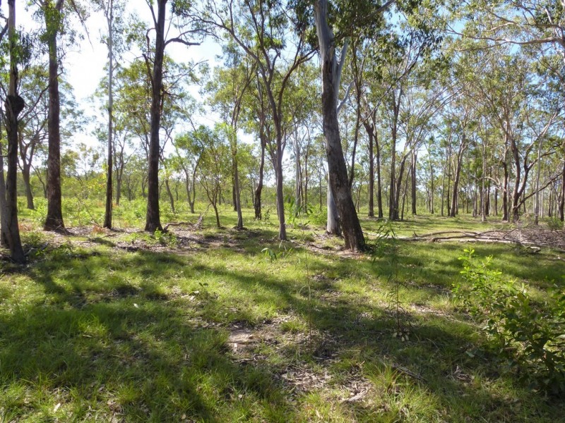 252 Matchbox Road, Deepwater QLD 4674