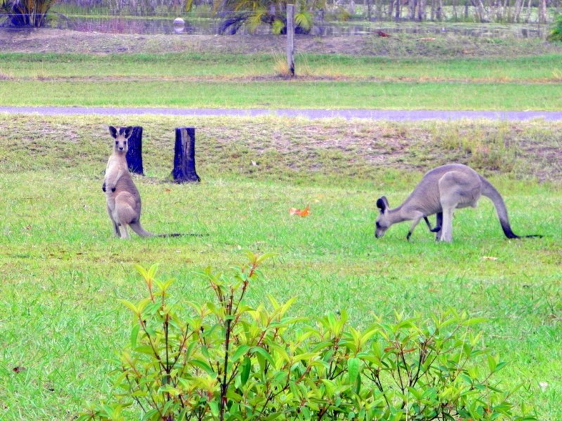 Agnes Water QLD 4677