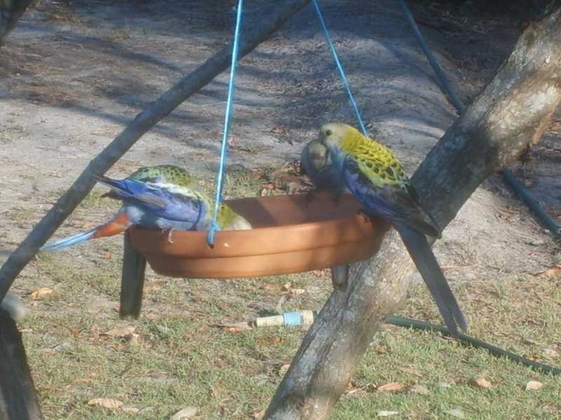 Agnes Water QLD 4677