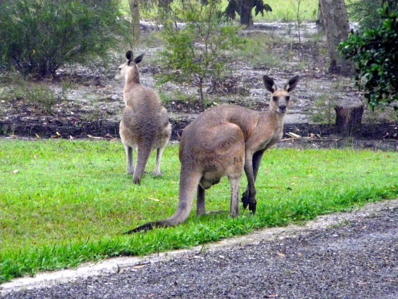 Agnes Water QLD 4677