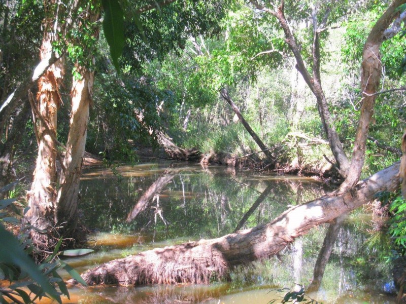 Captain Creek QLD 4677