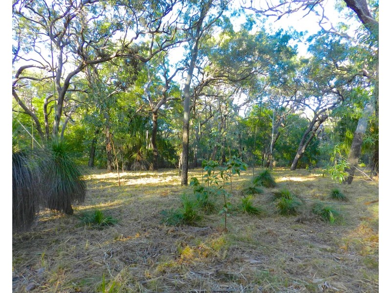 135 Bloodwood Ave South, Sunrise at 1770, Agnes Water QLD 4677