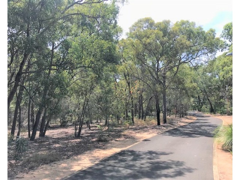 135 Bloodwood Ave South, Sunrise at 1770, Agnes Water QLD 4677