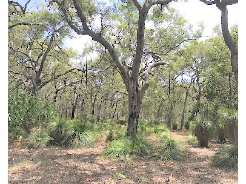 135 Bloodwood Ave South, Sunrise at 1770, Agnes Water QLD 4677