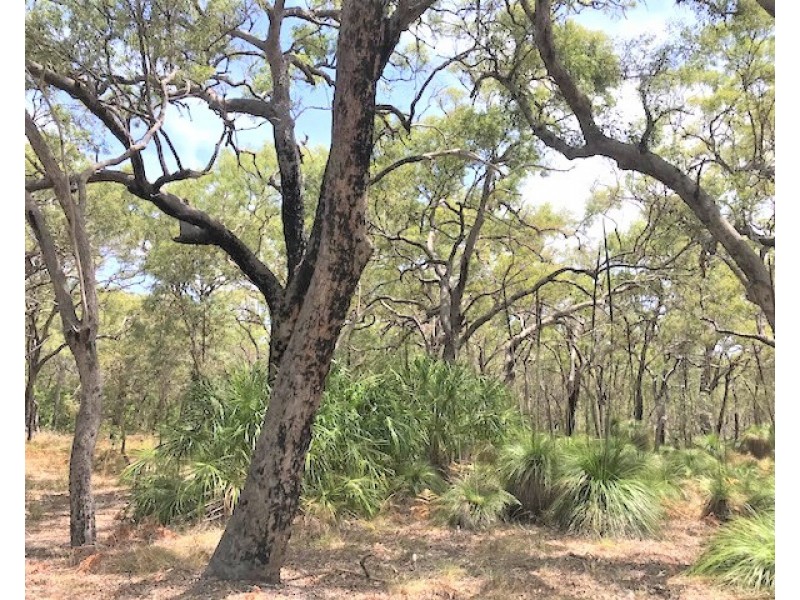 135 Bloodwood Ave South, Sunrise at 1770, Agnes Water QLD 4677