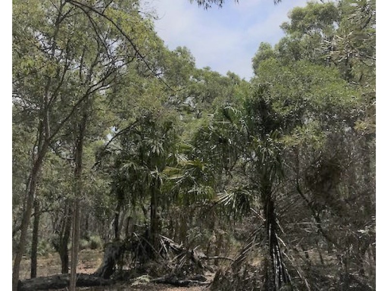 135 Bloodwood Ave South, Sunrise at 1770, Agnes Water QLD 4677