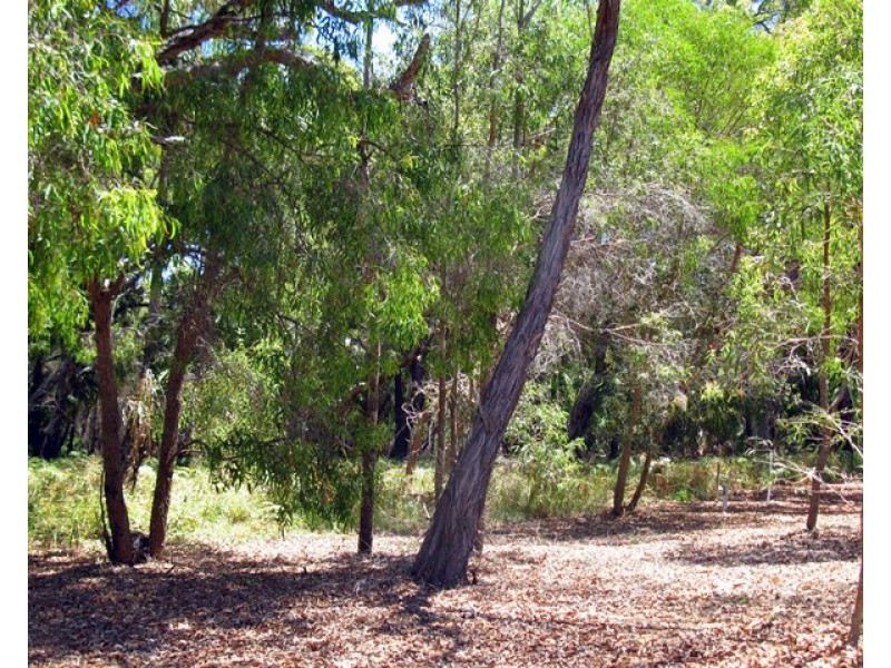 33 Bloodwood Ave Sth, Agnes Water QLD 4677