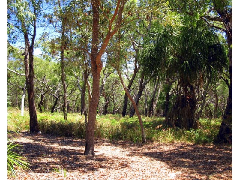 33 Bloodwood Ave Sth, Agnes Water QLD 4677