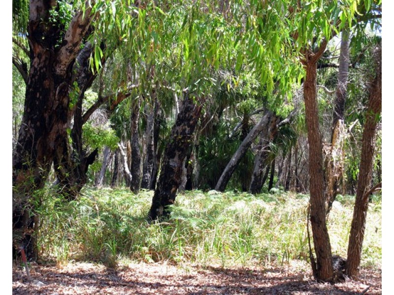 33 Bloodwood Ave Sth, Agnes Water QLD 4677