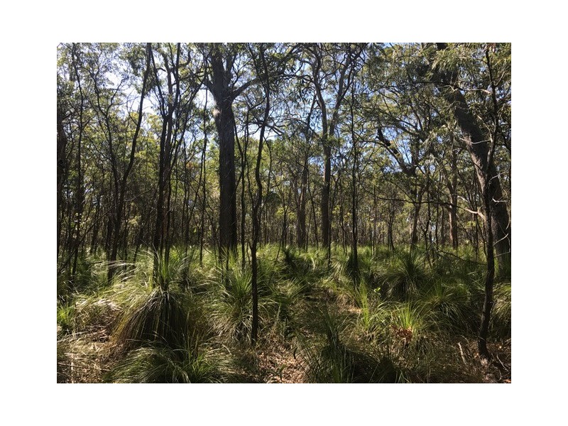 Agnes Water QLD 4677