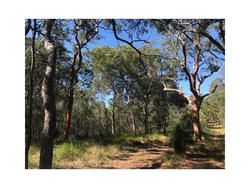 Agnes Water QLD 4677