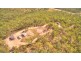 226 Murphy Road, Captain Creek QLD 4677