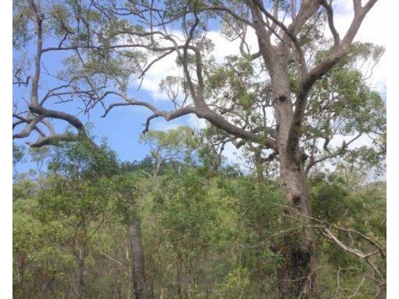 Agnes Water QLD 4677