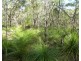 Lot 28 Tableland Road, Mount Maria QLD 4674