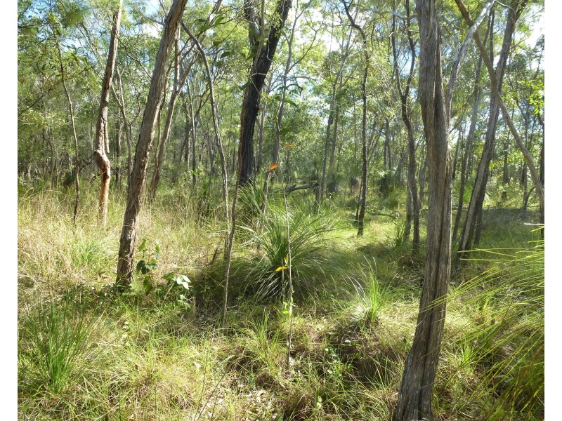 Lot 28 Tableland Road, Mount Maria QLD 4674