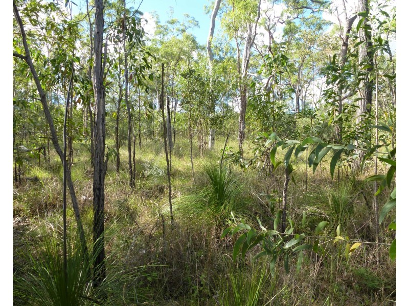 Lot 28 Tableland Road, Mount Maria QLD 4674