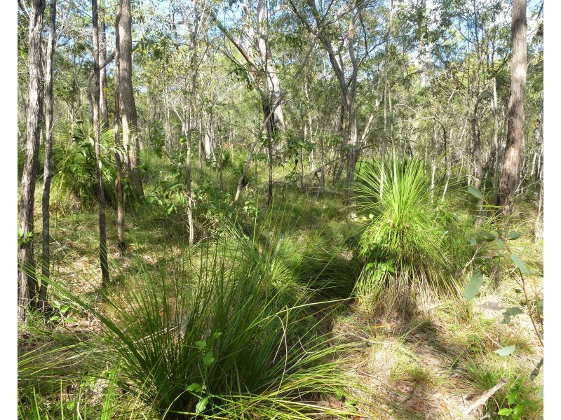 Lot 28 Tableland Road, Mount Maria QLD 4674