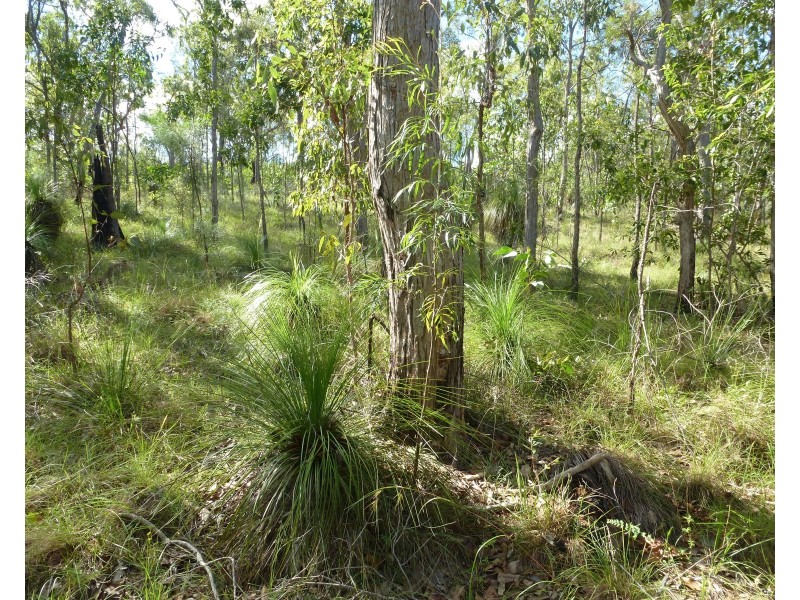 Lot 28 Tableland Road, Mount Maria QLD 4674