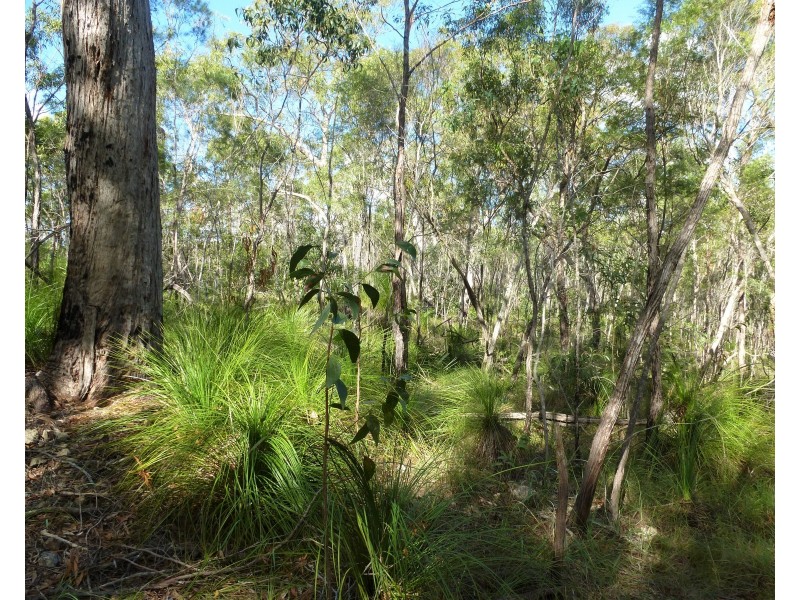 Lot 28 Tableland Road, Mount Maria QLD 4674