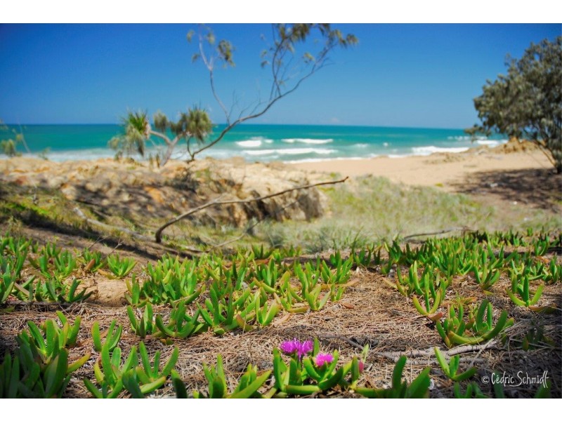 Agnes Water QLD 4677