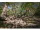 204 Allingham Way, Agnes Water QLD 4677