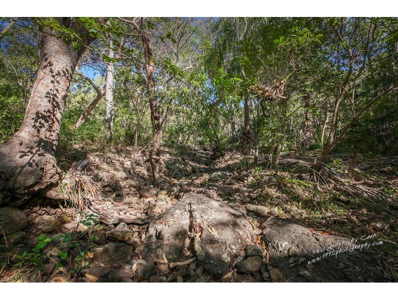 204 Allingham Way, Agnes Water QLD 4677