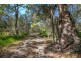 204 Allingham Way, Agnes Water QLD 4677