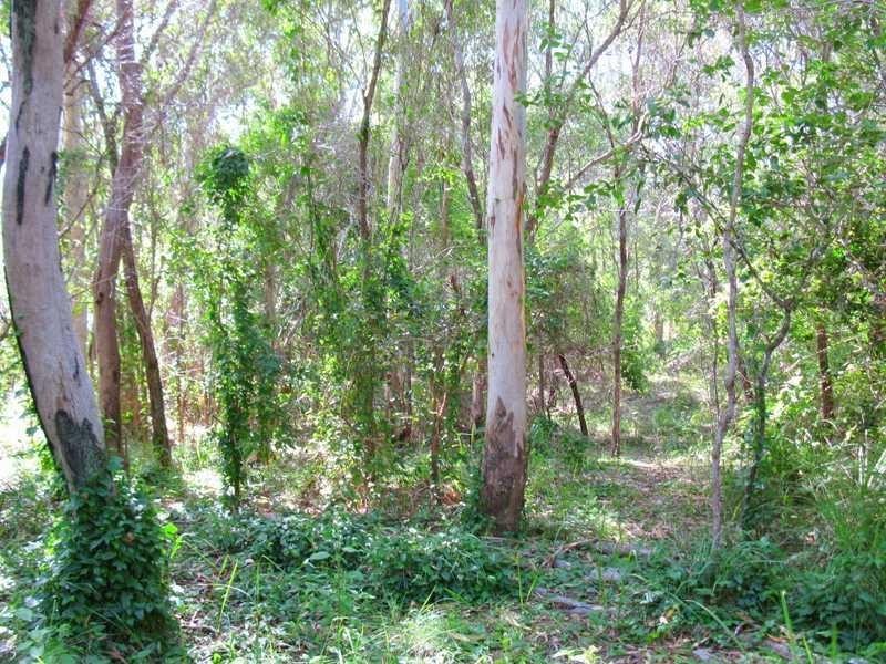 Agnes Water QLD 4677