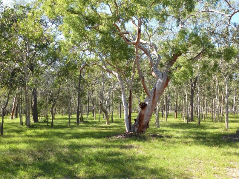 233 Pacific Drive,, Deepwater QLD 4674