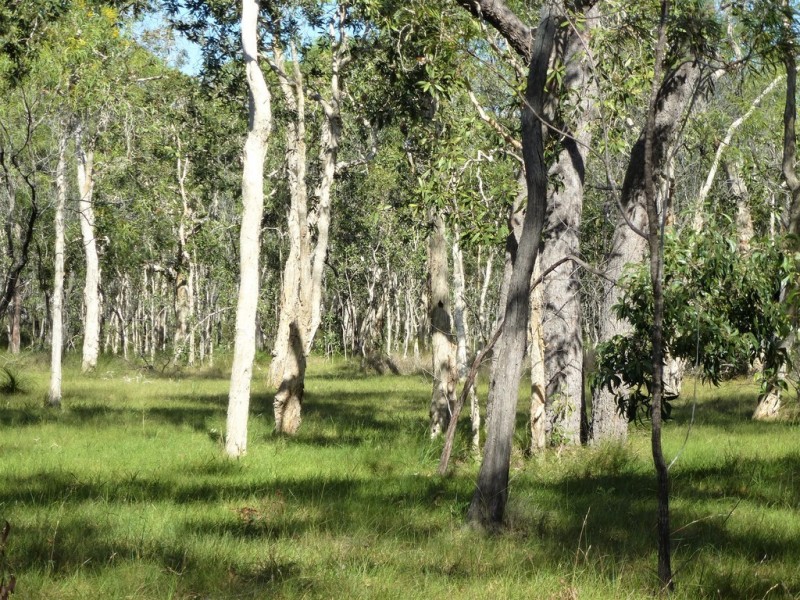 233 Pacific Drive,, Deepwater QLD 4674