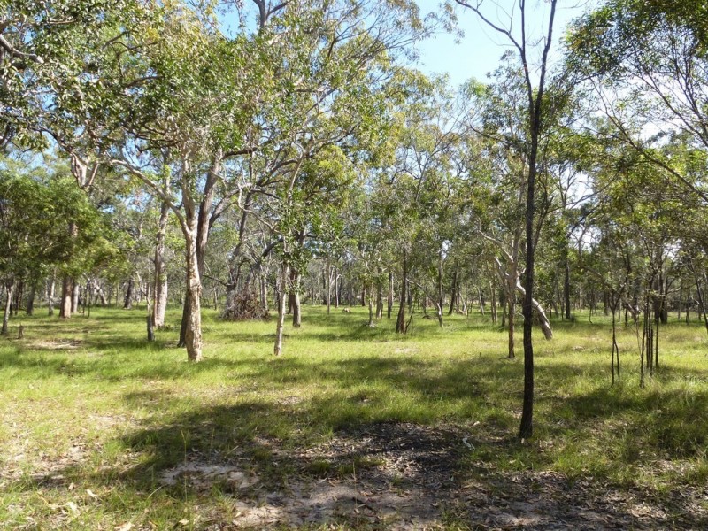 233 Pacific Drive,, Deepwater QLD 4674