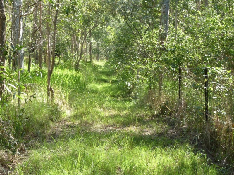 2153 Tableland Road,, Berajondo QLD 4674