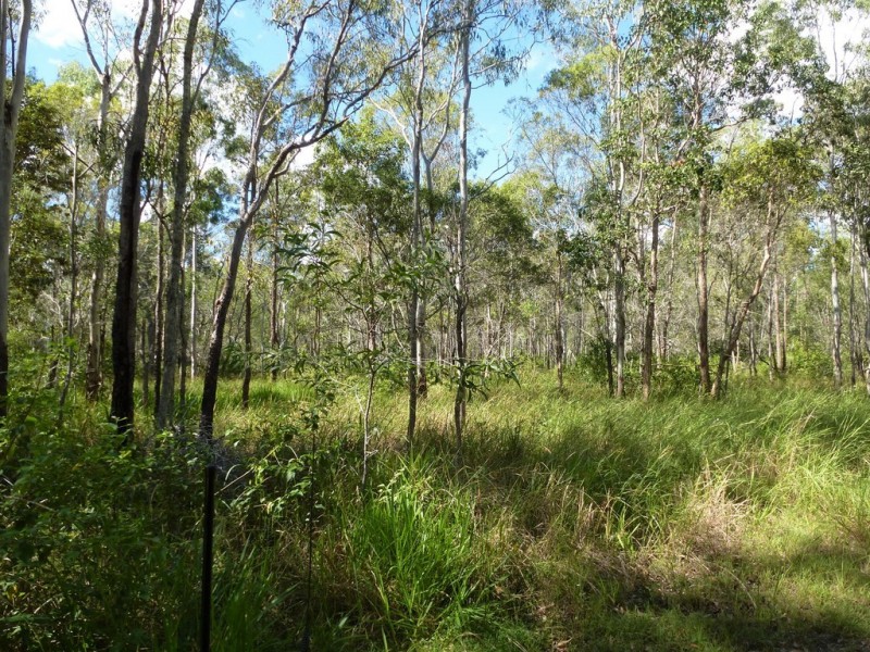 2153 Tableland Road,, Berajondo QLD 4674