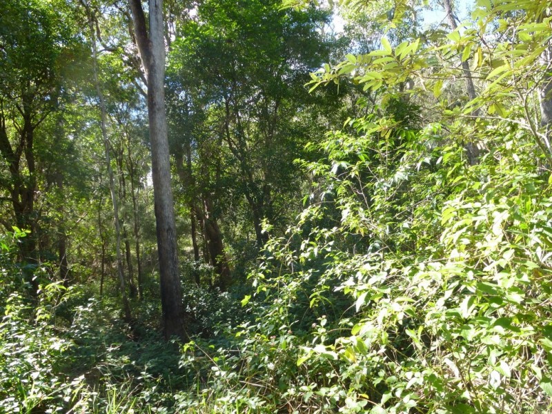 2153 Tableland Road,, Berajondo QLD 4674