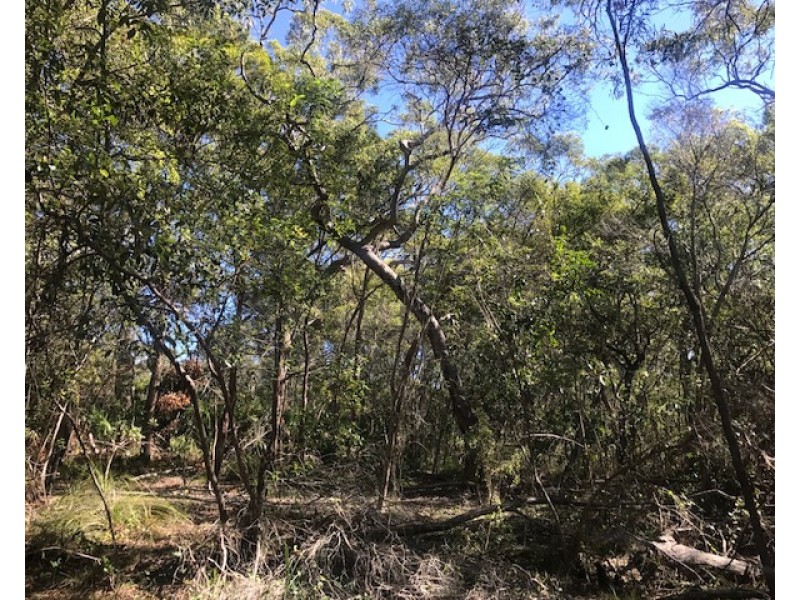 Agnes Water QLD 4677