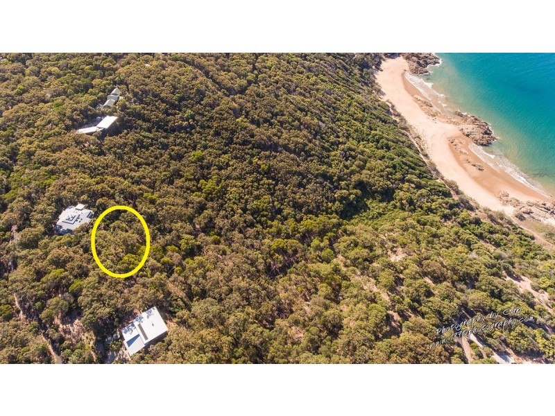 48 Bloodwood Avenue, Agnes Water QLD 4677