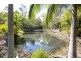 671 Murphy Road, Captain Creek QLD 4677