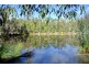 671 Murphy Road, Captain Creek QLD 4677