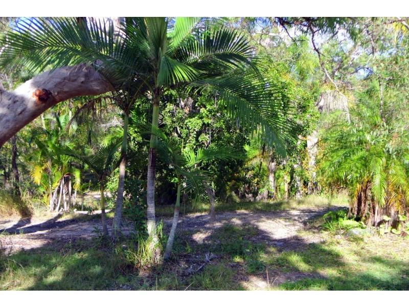 671 Murphy Road, Captain Creek QLD 4677