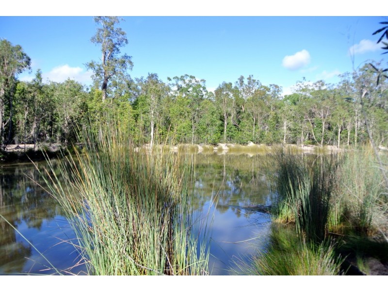 671 Murphy Road, Captain Creek QLD 4677