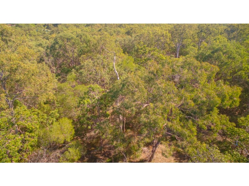 lot 80 Wistari Terrace, Agnes Water QLD 4677
