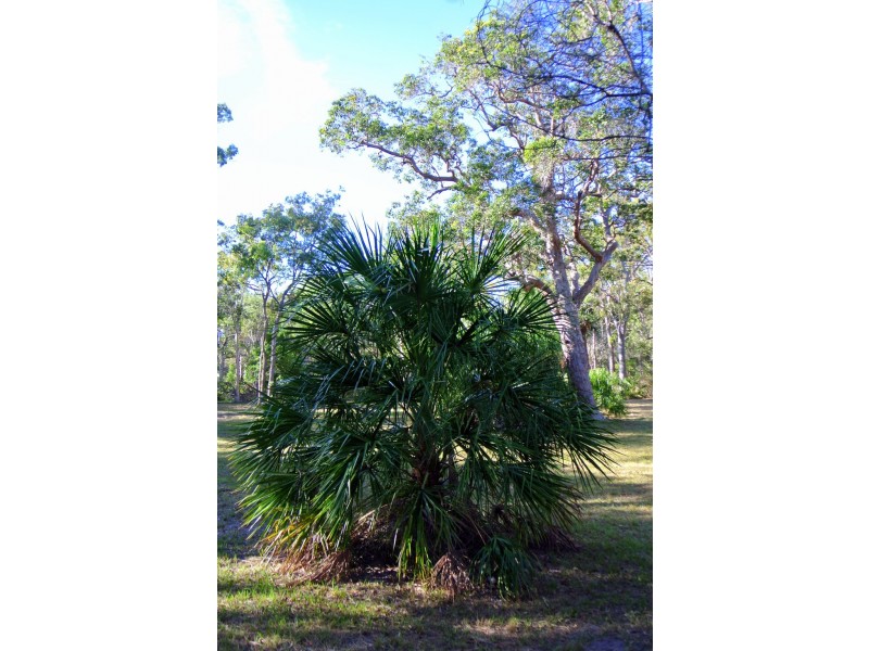 Lot 208 Mary Munro, Agnes Water QLD 4677