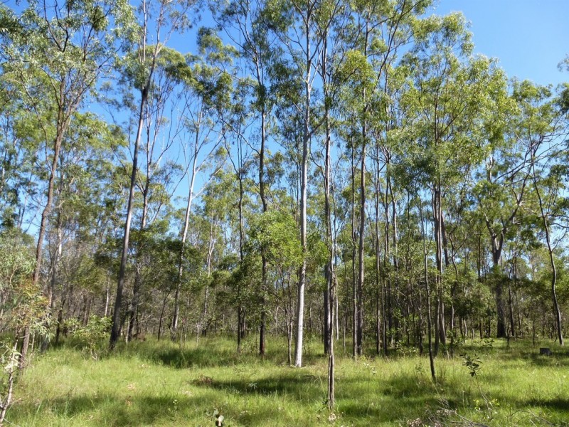Lot 20 Tableland Road, Mount Maria QLD 4674