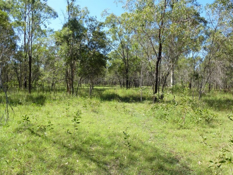 Lot 20 Tableland Road, Mount Maria QLD 4674