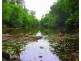 Captain Creek QLD 4677