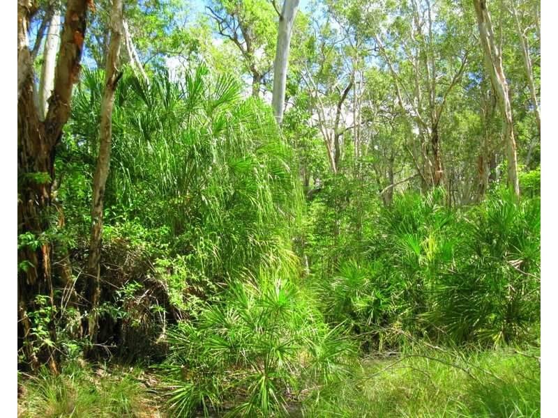 Captain Creek QLD 4677