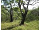 Captain Creek QLD 4677